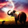 Elephant At Sunset Paint By Number