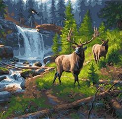 Forest Deer Paint By Number