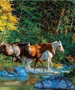 Group of Horses Cross the river paint by numbers