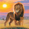 Lion And The Cub paint by numbers