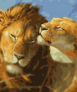 Lion Couple paint by numbers