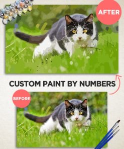 Paint By Numbers Customized thumbnail