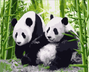 Adorable Panda Couple Paint By Number