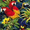 Parrot Birds Paint By Number