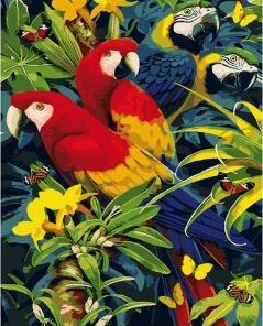 Parrot Birds Paint By Number