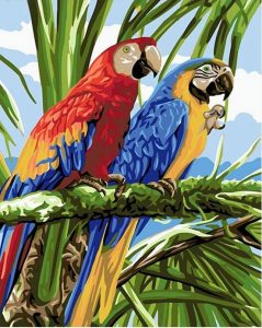 Parrots Birds Paint By Number