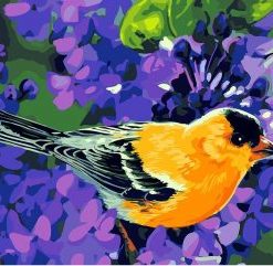 Pretty Songbirds Paint By Number