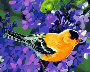 Pretty Songbirds Paint By Number