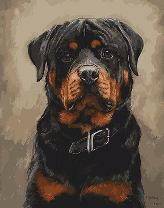 Black Dogs Paint By Numbers