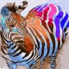 Colorful Zebra Animals - DIY Paint By Numbers - Numeral Paint