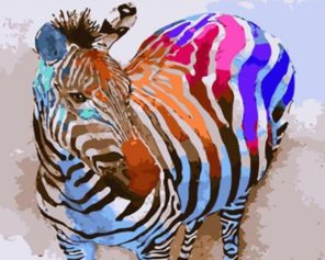Colorful Zebra Animals - DIY Paint By Numbers - Numeral Paint