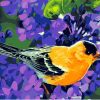 Bird Modern Wall Art Canvas - DIY Paint By Numbers - Numeral Paint
