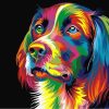 Colorful Dog - DIY Paint By Numbers - Numeral Paint