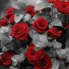 Red Roses Flowers Paint By Number