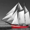 Red Sailboat Paint By Number