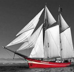 Red Sailboat Paint By Number