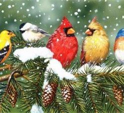 Birds In Winter Paint By Number