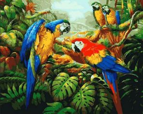 Colorful Parrots - DIY Paint By Numbers - Numeral Paint