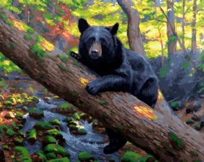Black Bear Paint By Number