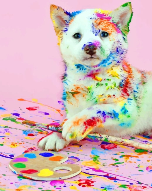 Messy Dog With Paints paint by numbers