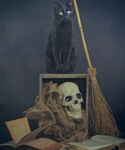 Black Cat And Skull paint by numbers