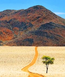 Desert Of Namibia paint by numbers