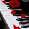 Piano And Red Rose paint by numbers