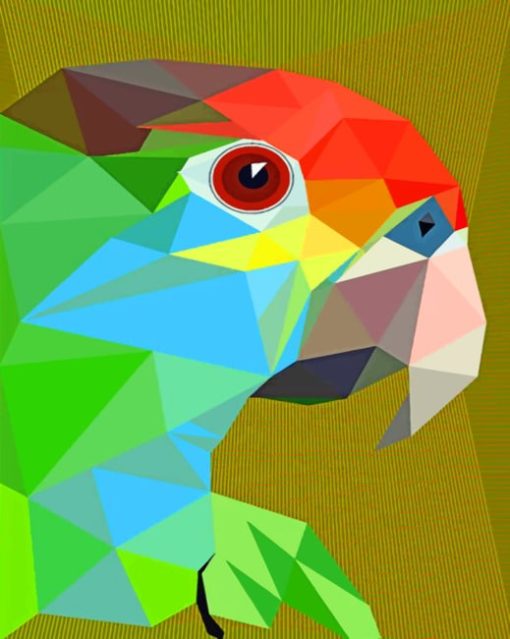 Pop Art Parrot paint by numbers
