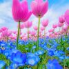 Blue And Pink Flowers Paint by numbers