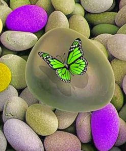 Green Butterfly paint by numbers