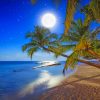 full moon night beach paint by number