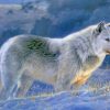 Winter Wolf paint by numbers