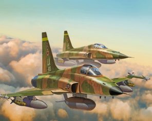 F 5e tiger Aircraft paint by number
