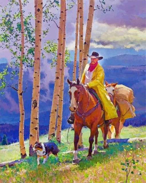 Western Cowboy Paint by numbers