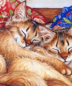cats-sleeping-paint-by-numbers