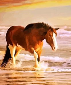 Horse In Sea Paint by numbers
