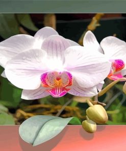 orchid-flowers-paint-by-numbers