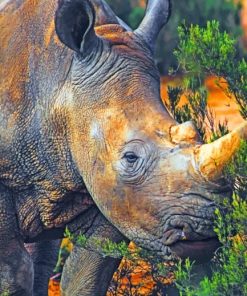 Wild-Brown-Rhinoceros-paint-by-number