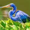 blue-heron-paint-by-numbers