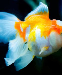 golden-blue-fish-adult-paint-by-numbers