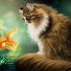 paint-by-number-art-painting-by-numbers-Art-cute-animal-plant-cat-fish-bird-living-room.jpg_640x640_d351a029-570b-475e-84b1-7a3def2b2836