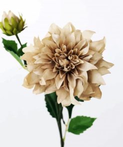 Beige Flower Paint By Number