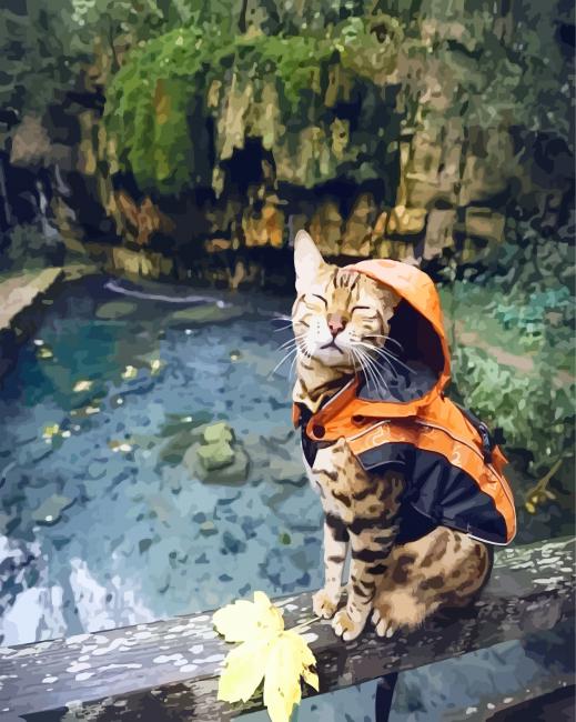Bengal Cat With Raincoat Paint By Number