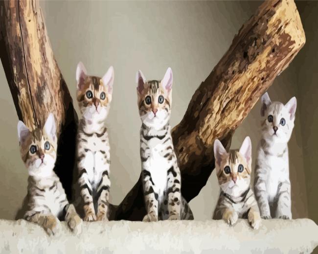 Bengal Kitties Paint By Number