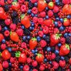Berry Fruits Paint By Number