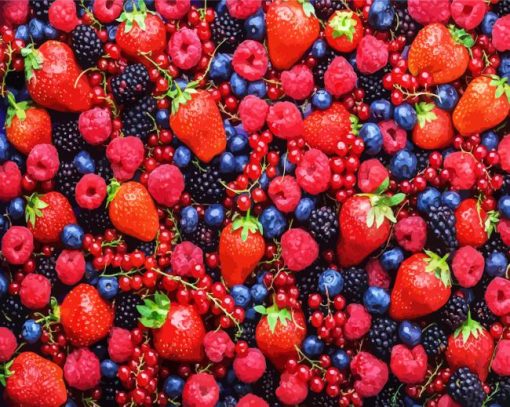 Berry Fruits Paint By Number