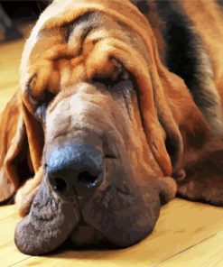 Bloodhound sleeping paint by number