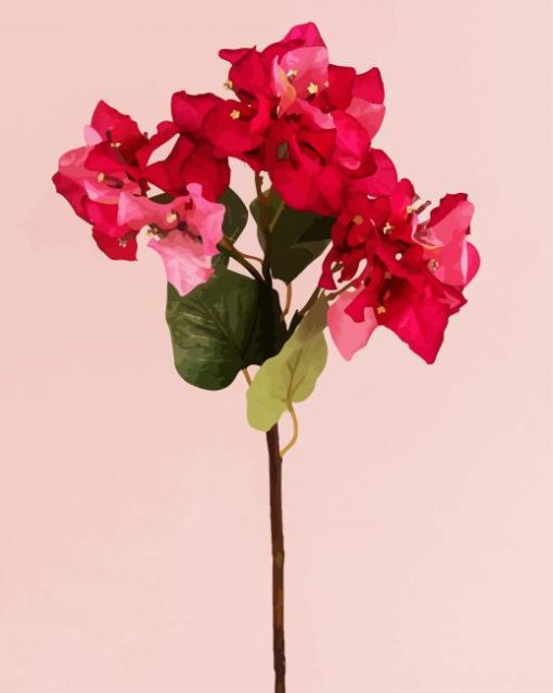 Blooming Pink Bougainvillea Paint By Number