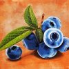 Blueberry Fruits Paint By Number