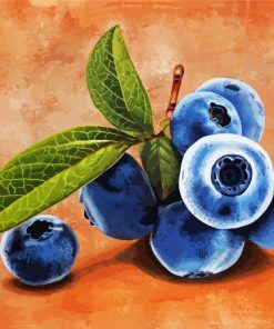 Blueberry Fruits Paint By Number